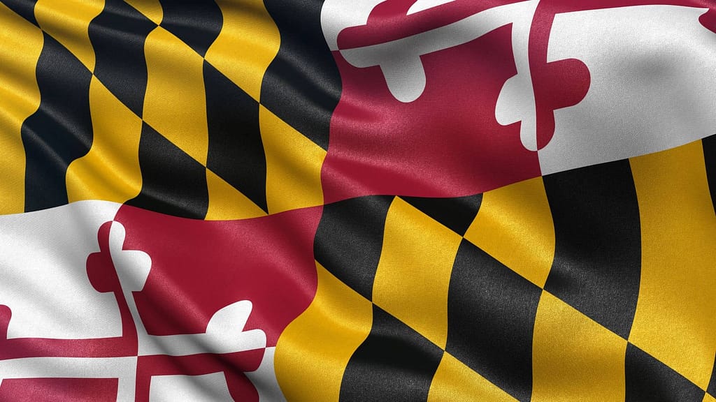 Maryland medium