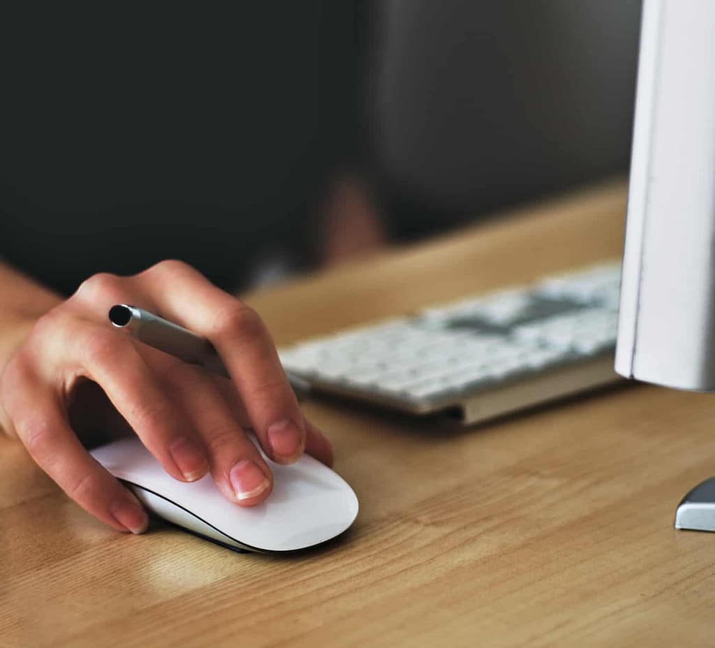 audit and consulting services