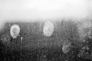 Fingerprints_Dirty-Glass-Windows-House_IMG_5867-580x386