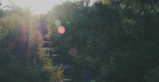 photo 1444359917174 44daf23d2137